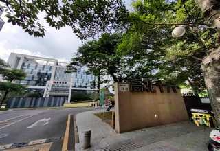 山东大象石雕工程